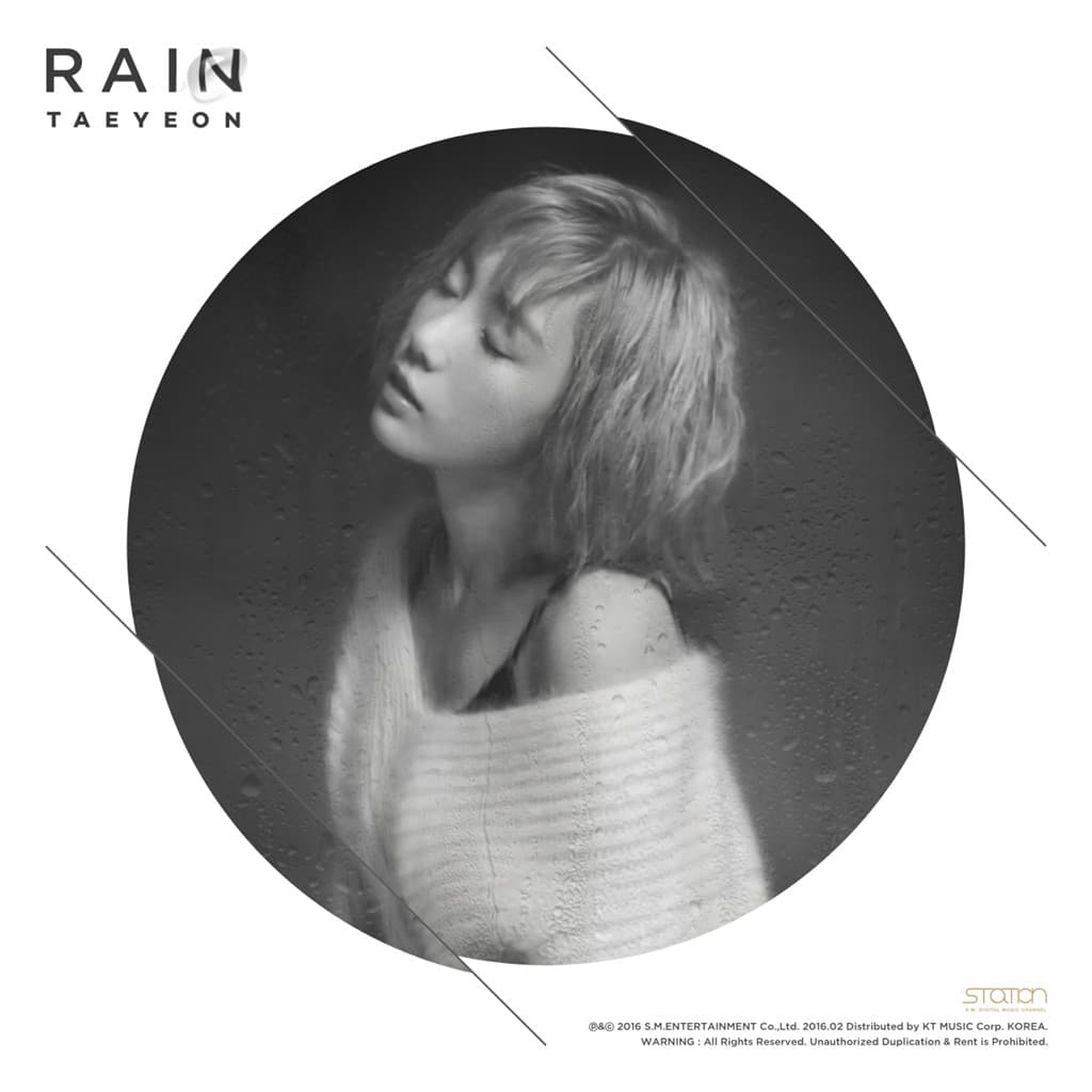 Rain cover