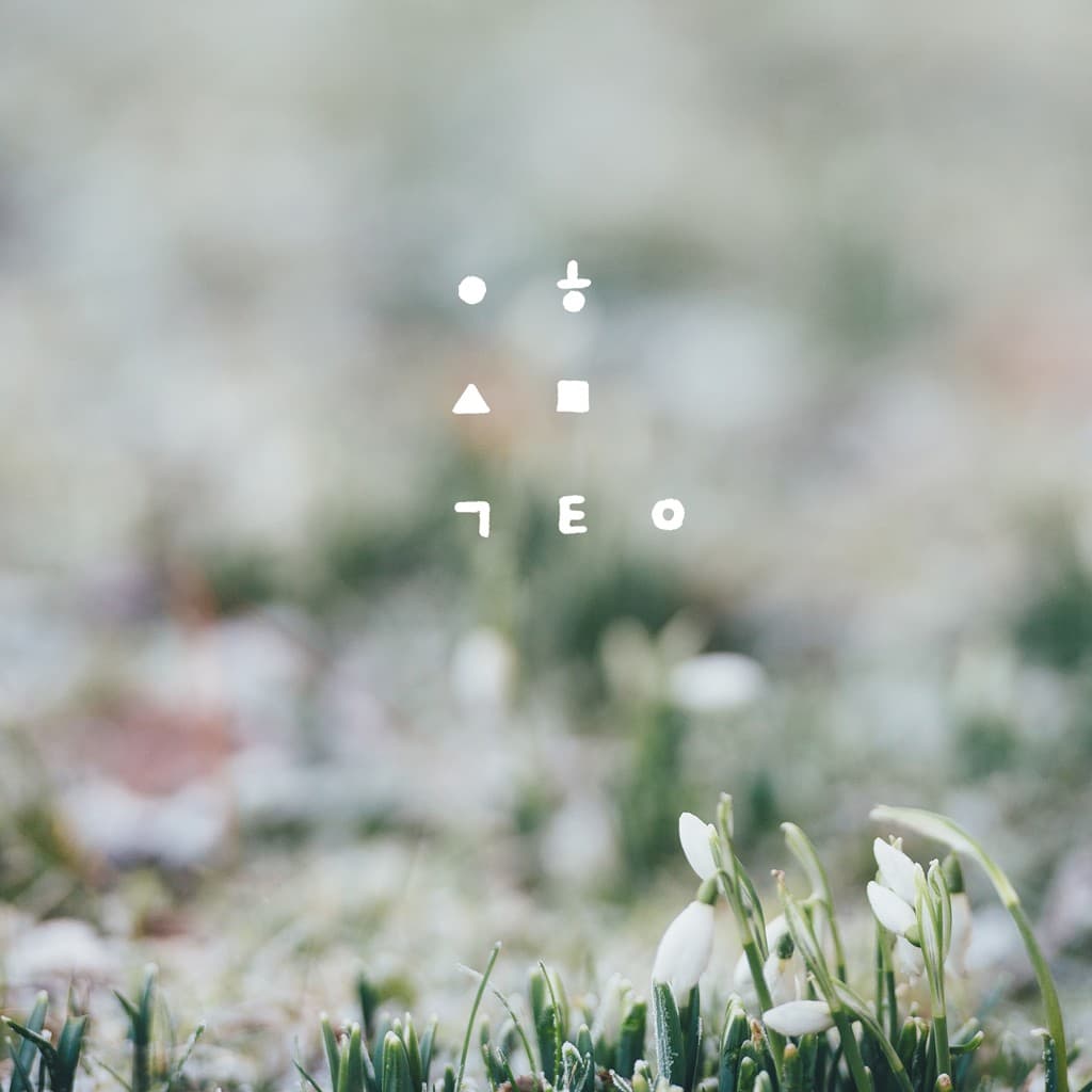월화수목금토일 cover