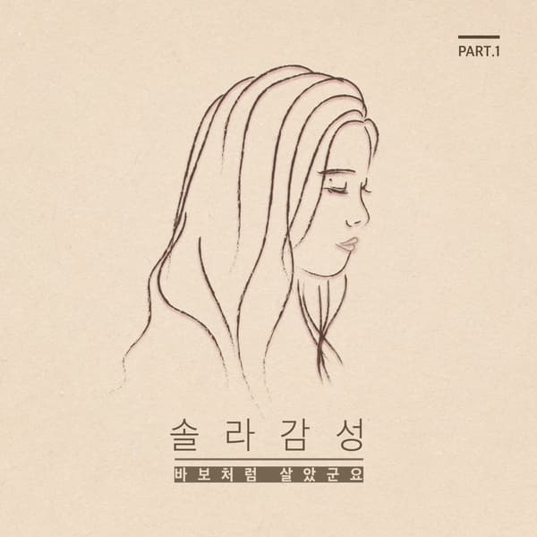 솔라감성 Part 1 cover