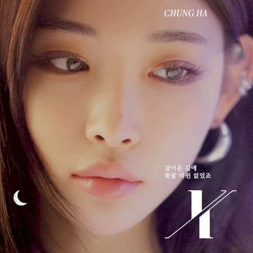 X (걸어온 길에 꽃밭 따윈 없었죠) cover