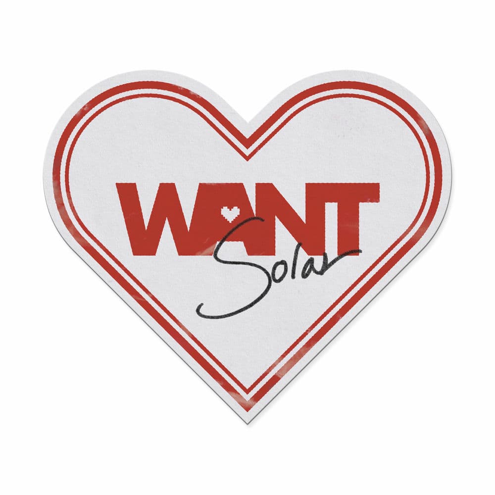 WANT cover