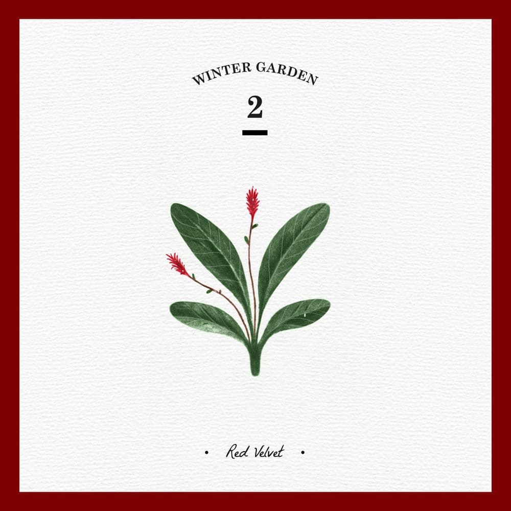세가지 소원 Wish Tree - WINTER GARDEN cover