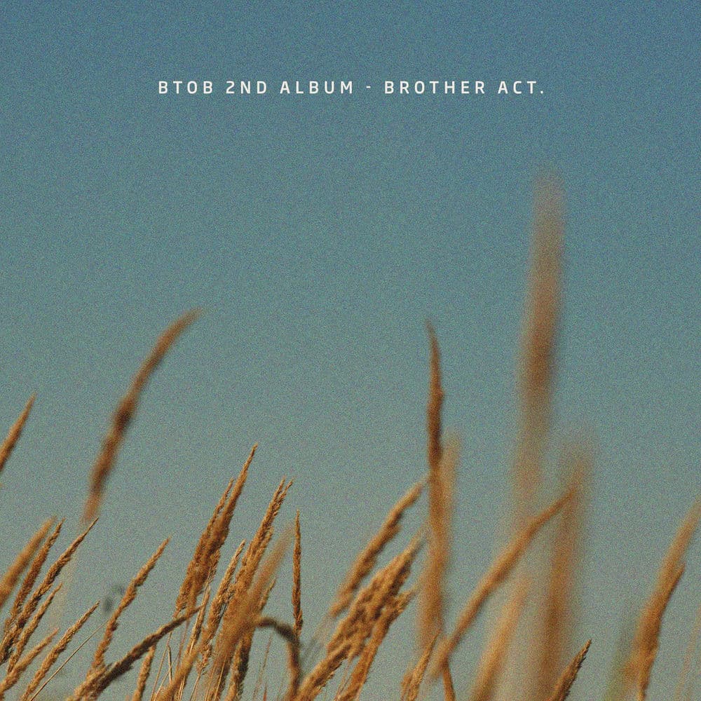 Brother Act. cover