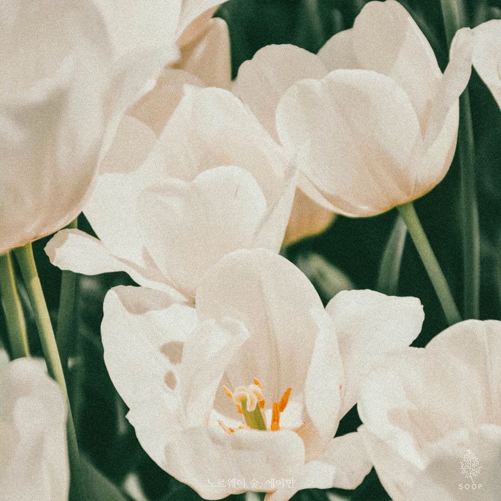 You're a Flower cover