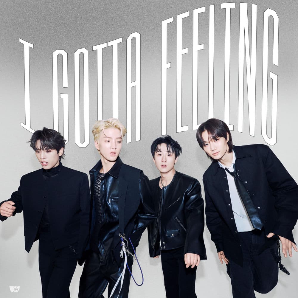 I gotta feeling cover
