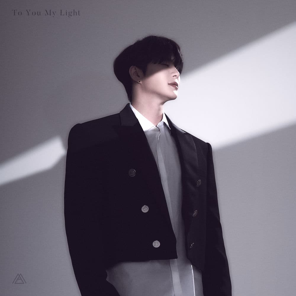 To You My Light cover