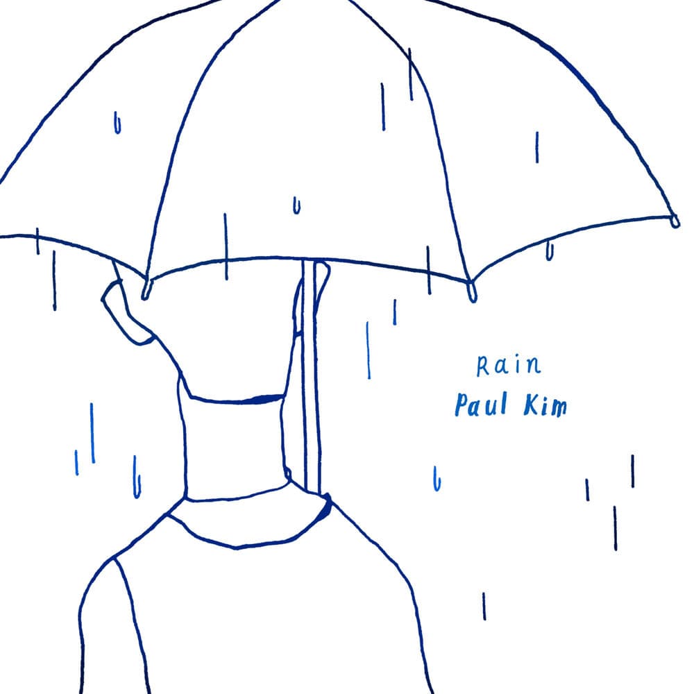 Rain cover