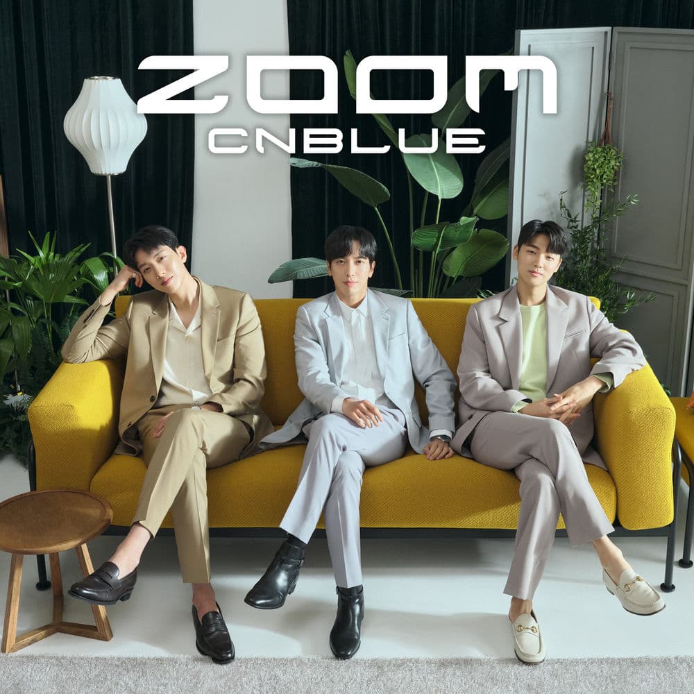 ZOOM cover