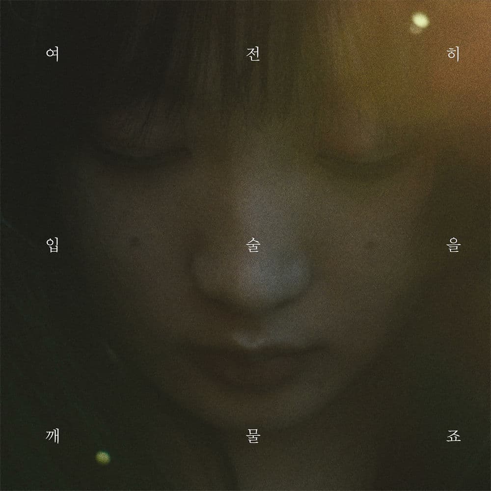 Swallowing Tears cover