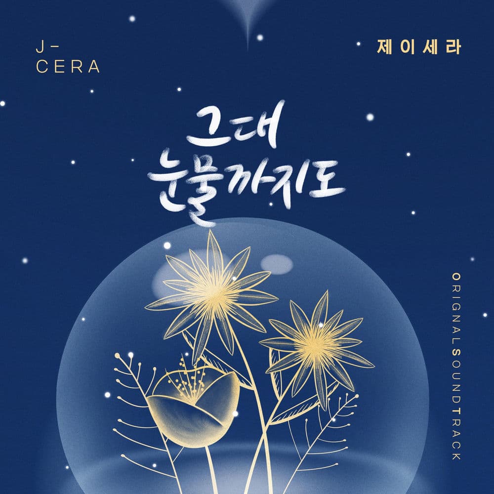 오! 삼광빌라! (Original Television Soundtrack), Pt. 14 cover