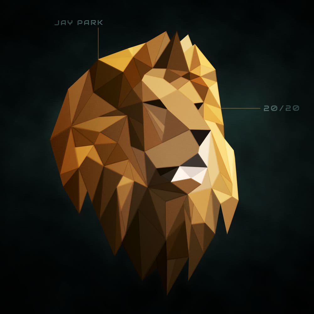 20/20 cover