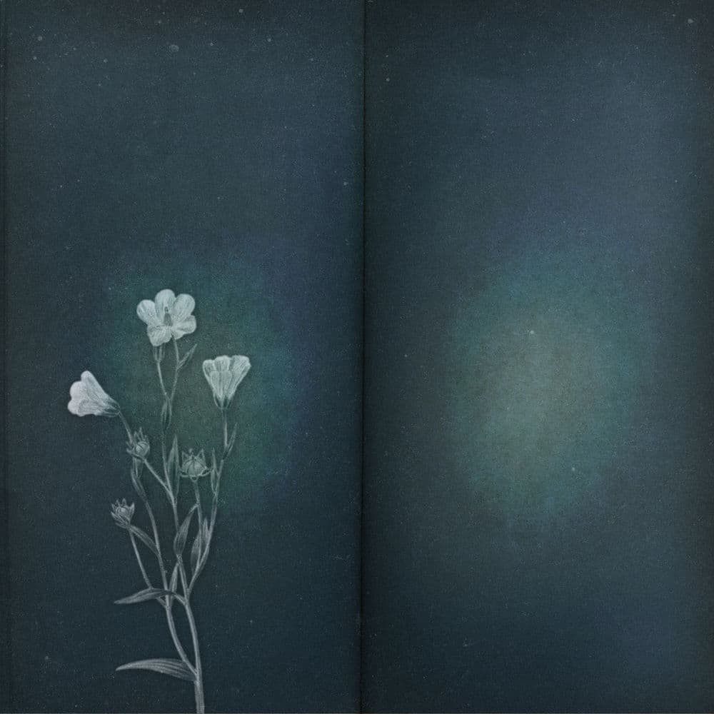 Please Forget Me cover