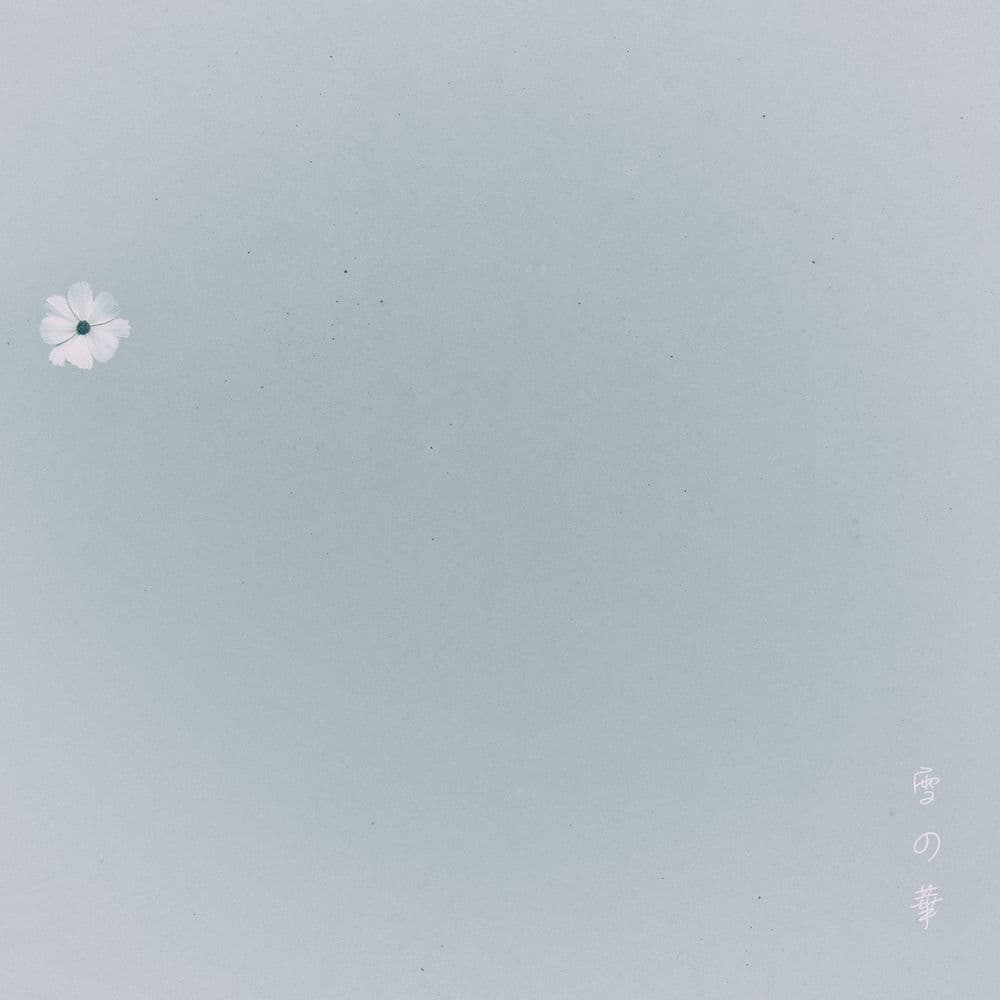 Snow Flower cover