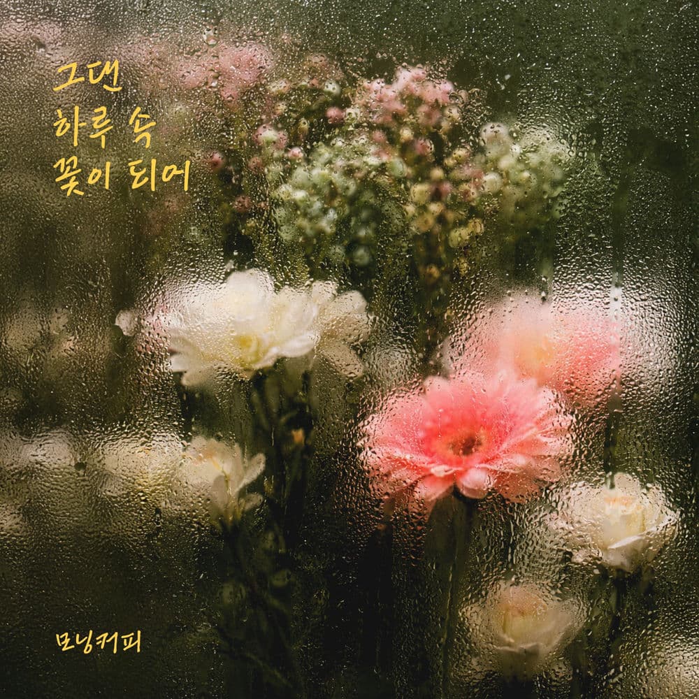 You are a flower cover