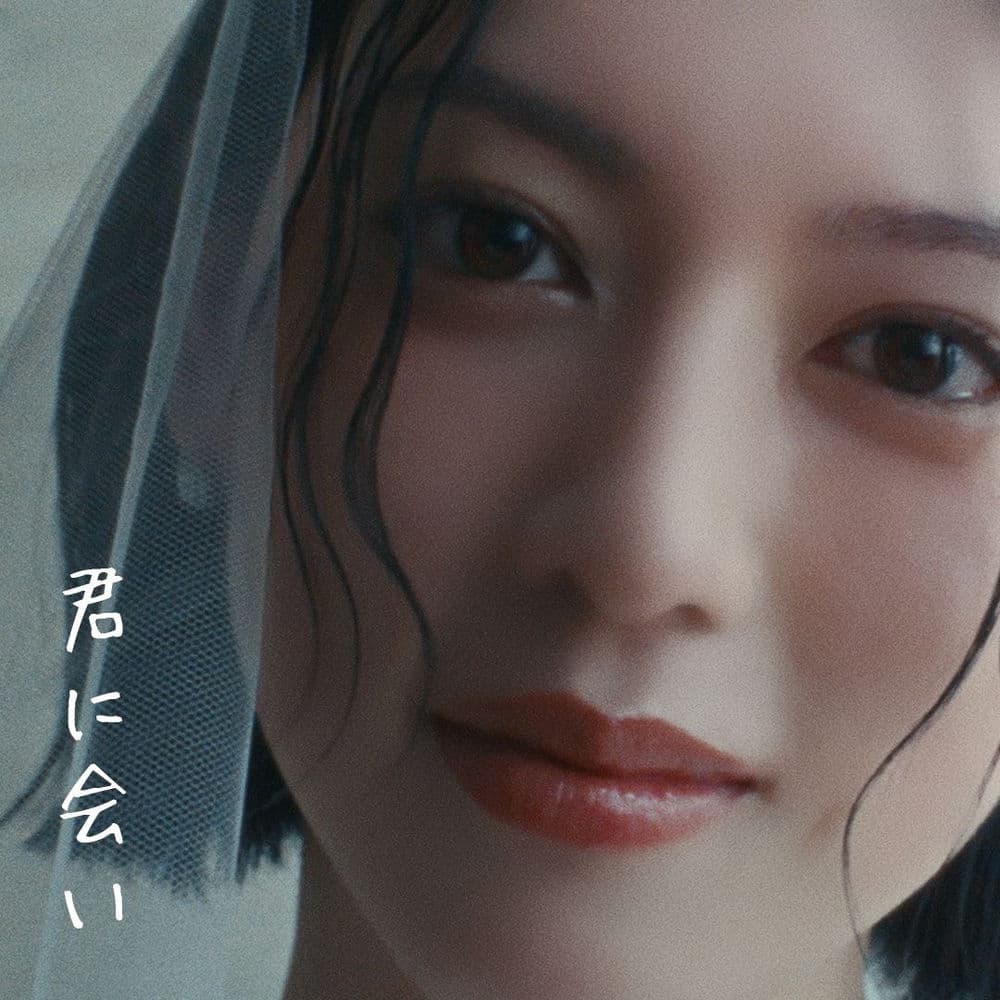 君に会い (Me After You) cover