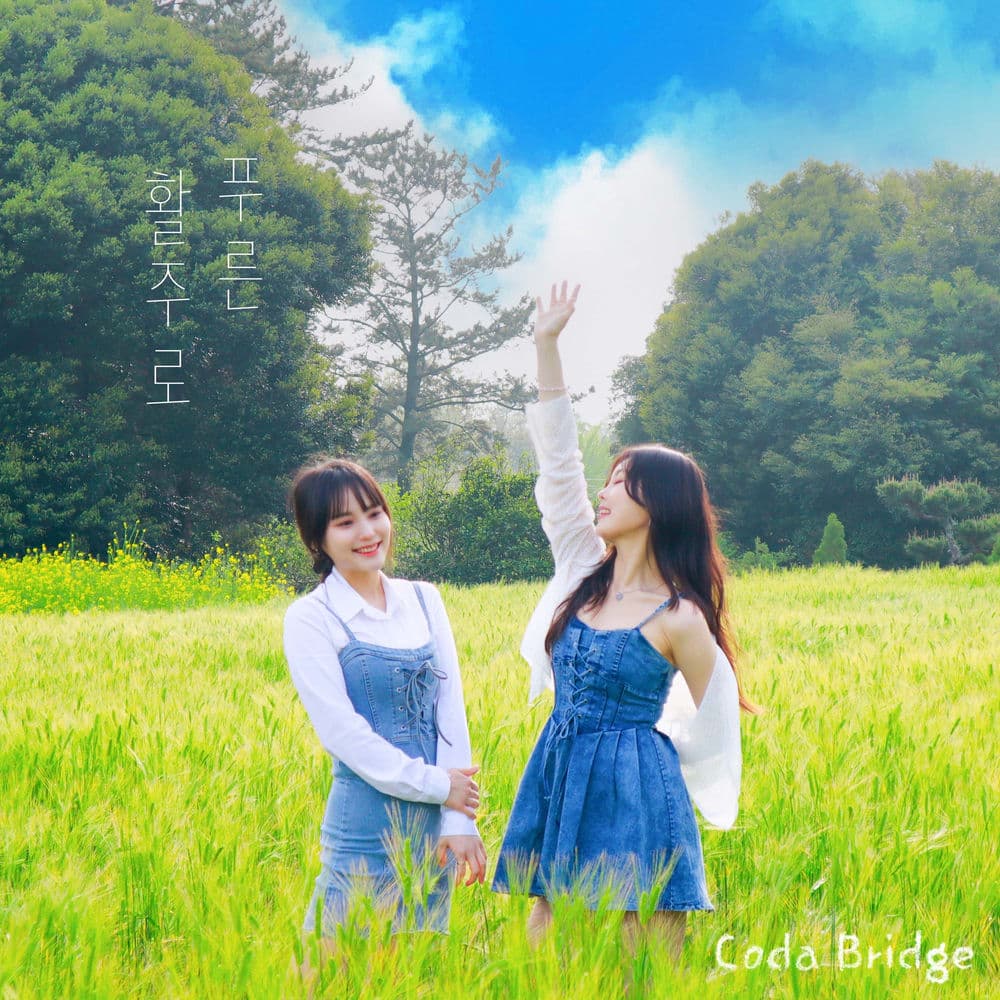 Blue Runway cover