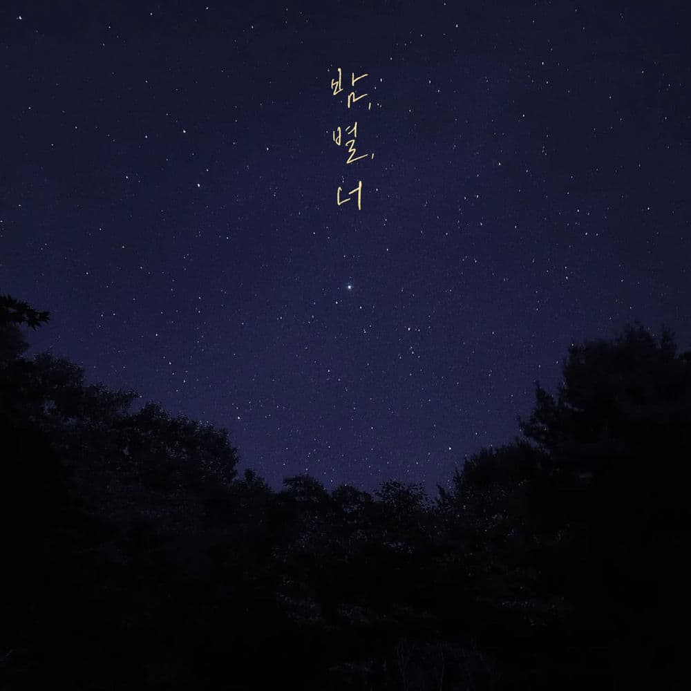Night, Star, You cover