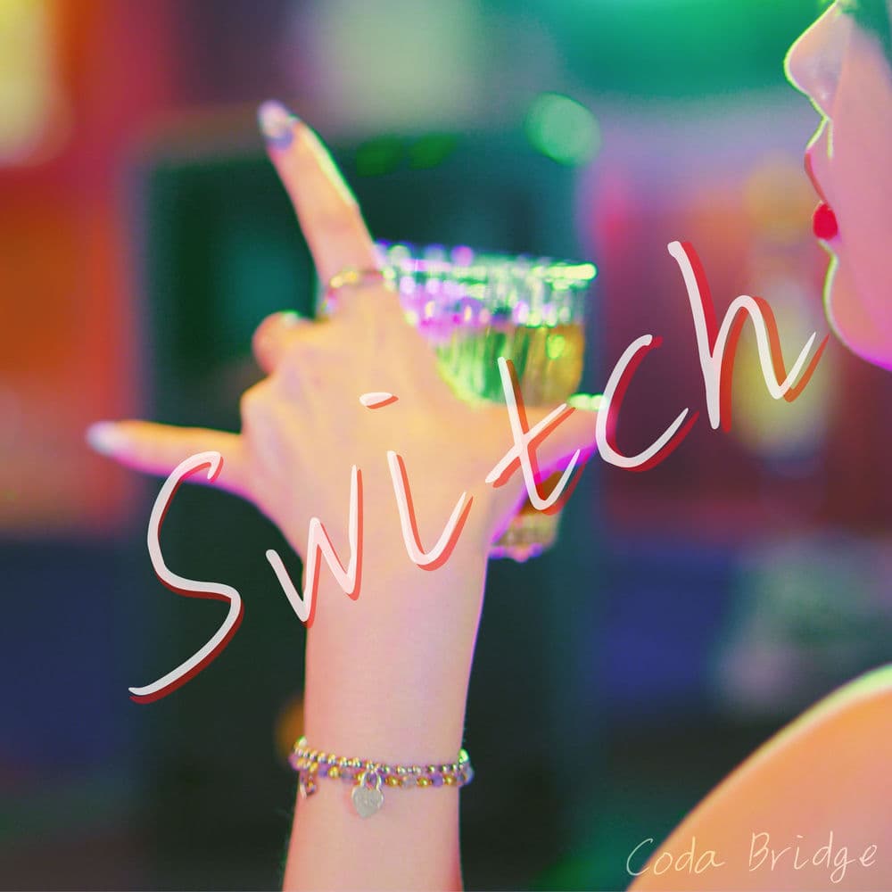 Switch cover