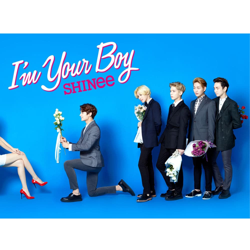I'm Your Boy cover