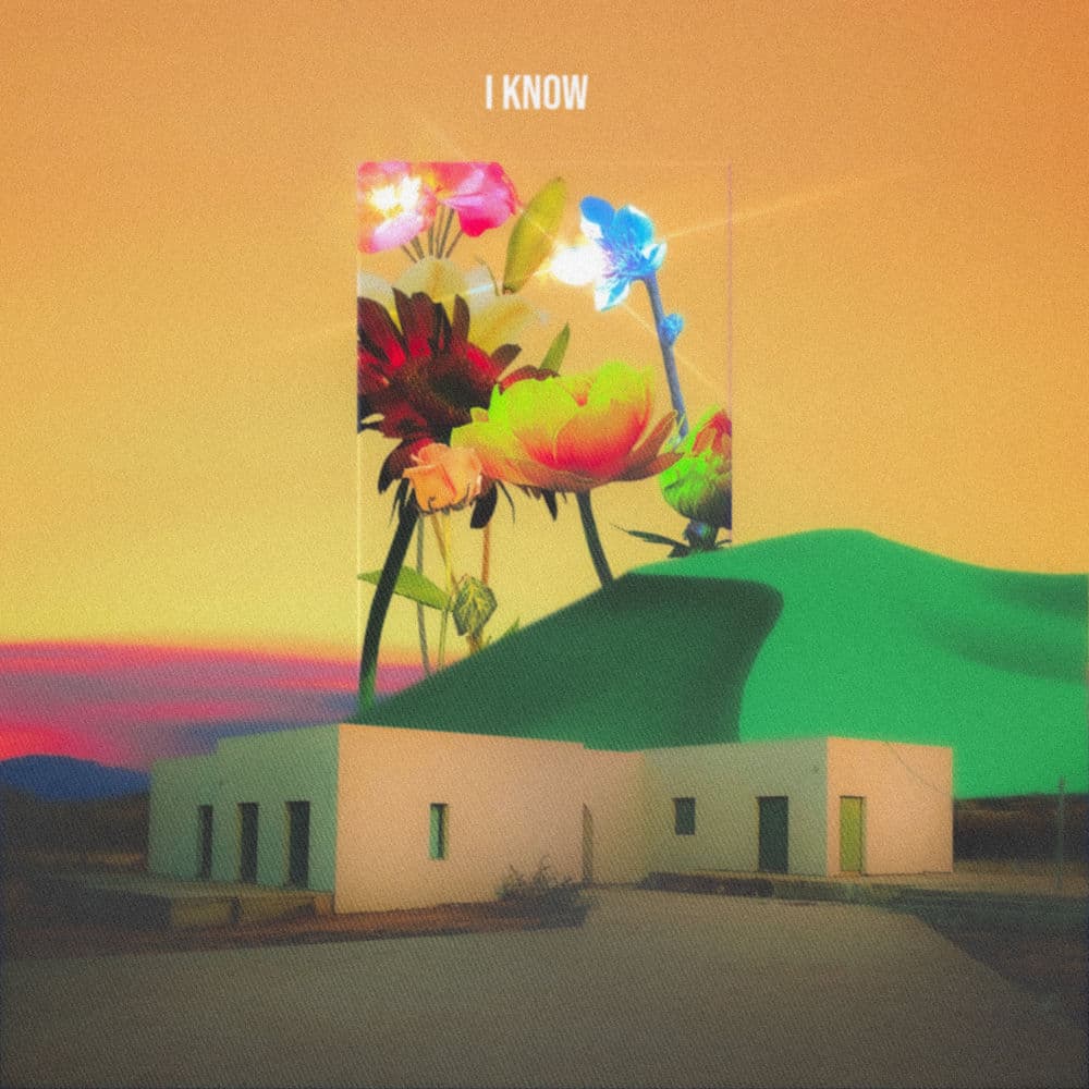 I know cover