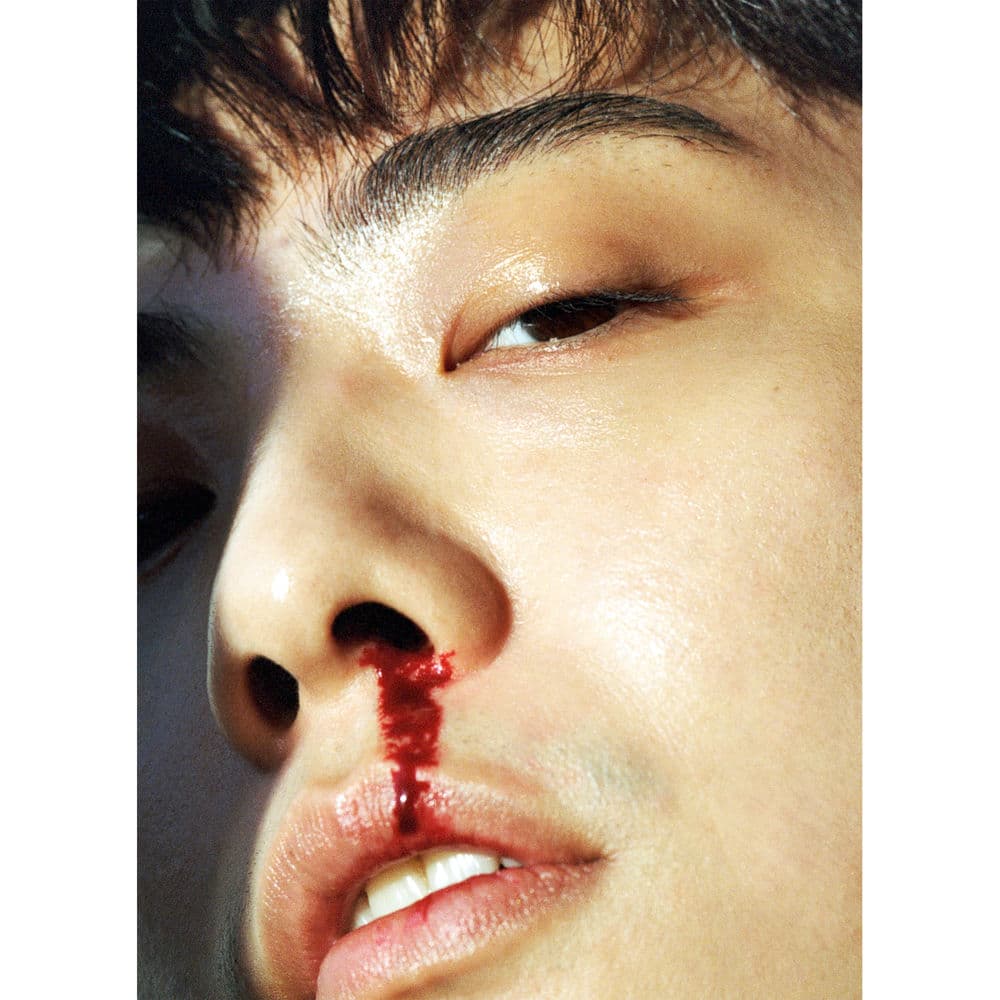 Fatal Album Ⅲ cover
