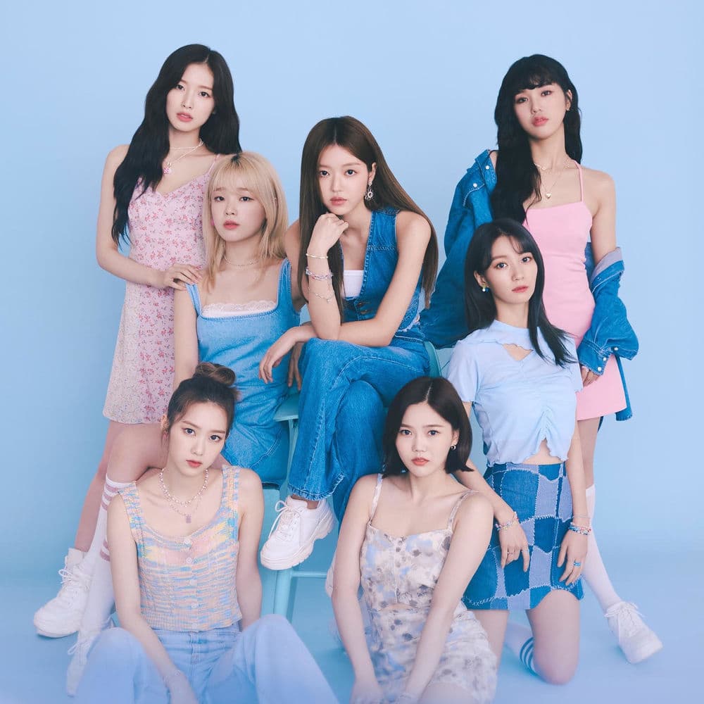 Dolphin Japanese Version cover