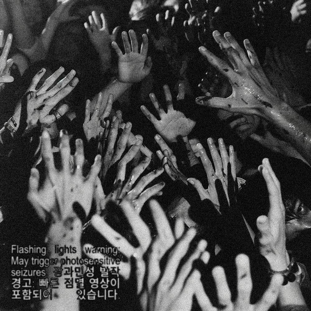 HORMONES cover