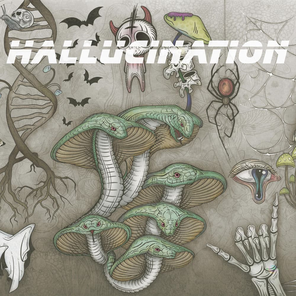 Hallucination cover