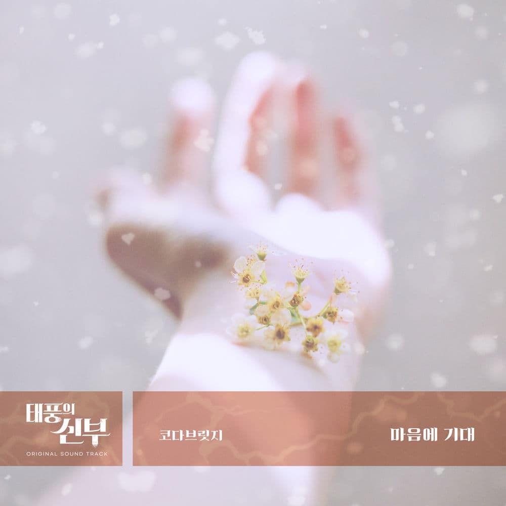 Taepung's Bride (Original Soundtrack), Pt.21 cover