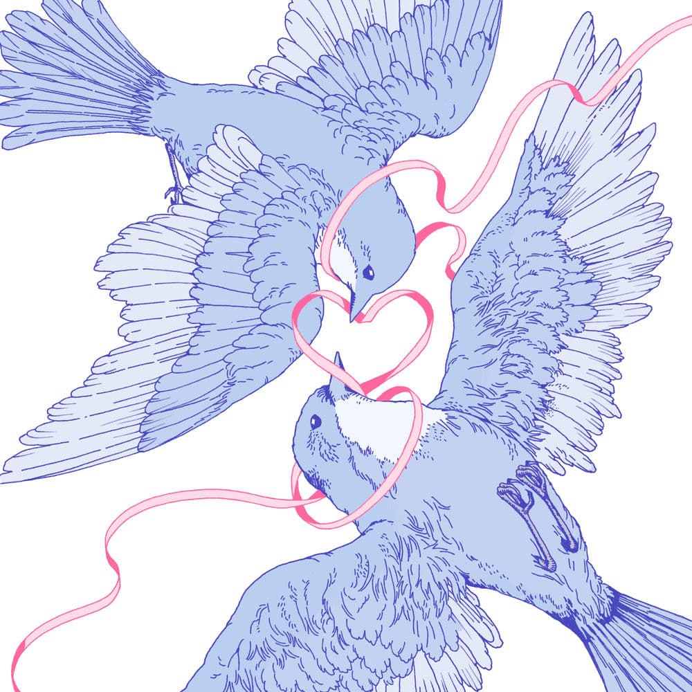 Bluebird cover