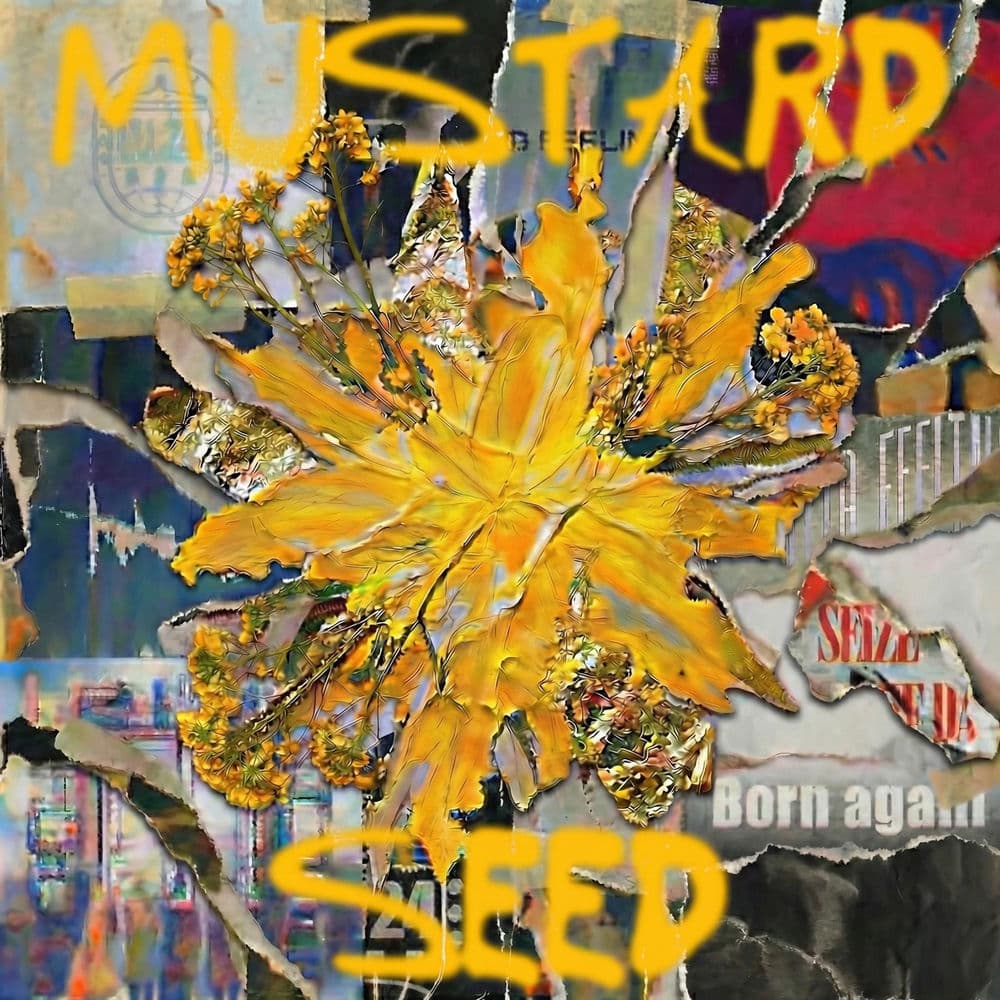 mustard seed cover