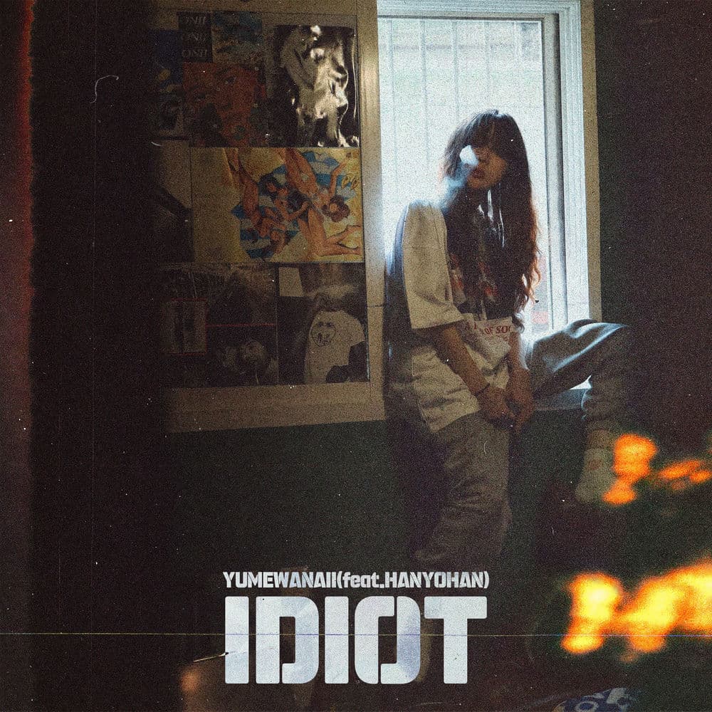Idiot cover
