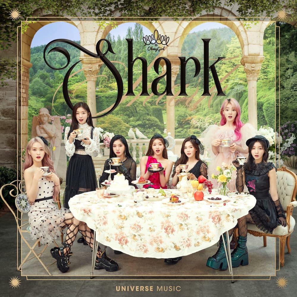 Shark cover