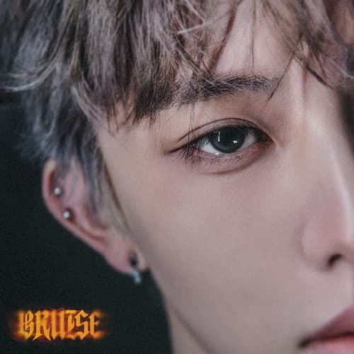 BRUISE cover