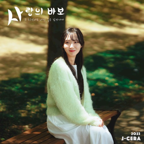 사랑의 바보 cover