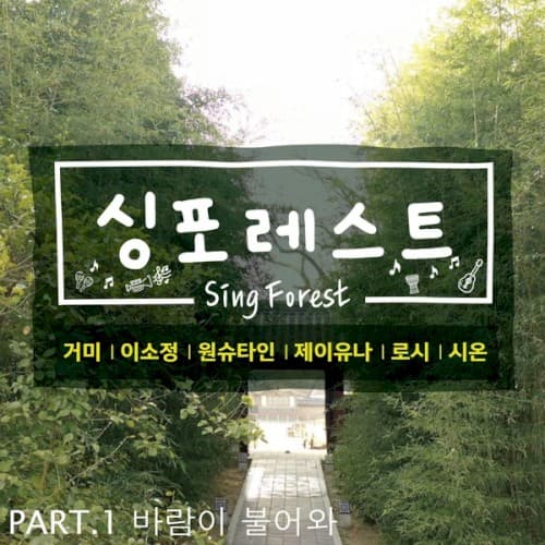 싱포레스트 Part.1 cover